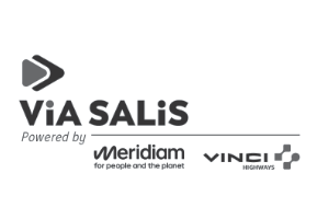 via salis logo